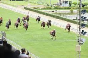 การเลือกสนามม้าใน ufabet อย่างมืออาชีพ เพื่อเพิ่มโอกาสทำกำไร