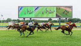 สูตรจับม้าเต็ง ufabet: เทคนิควิเคราะห์และแทงม้าเต็งให้ได้กำไร