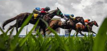 เดิมพันม้าระยะไกล ufabet: เทคนิคและกลยุทธ์เพื่อชัยชนะ