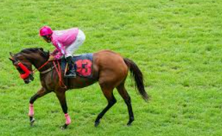 การวิเคราะห์ม้าก่อนเดิมพัน ufabet: เคล็ดลับสำคัญสู่ความสำเร็จในการแทงม้าออนไลน์